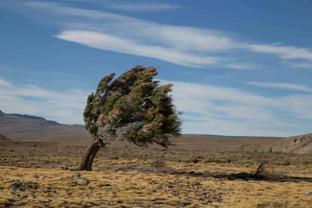 Chubut, Santa Cruz y Mendoza: emergencia agropecuaria&nbsp;decretada