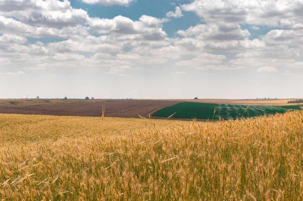 Polarización en el agro: la tendencia argentina al pensamiento&nbsp;binario
