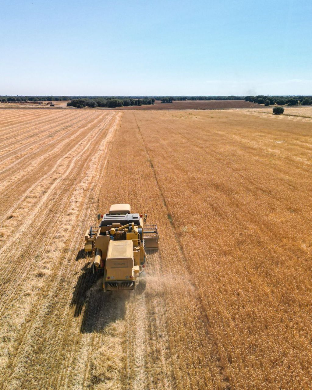 Corrientes: créditos con plazo largo y tasa subsidiada para el&nbsp;campo