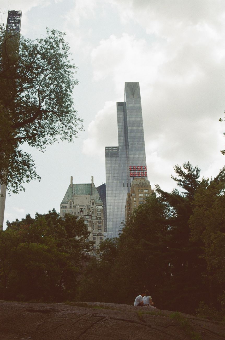 Fin de los carruajes en Central Park: Nueva York aprueba&nbsp;prohibición